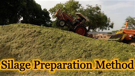 How to Make Silage for Livestock: Business Plan, Preparation Process ... - raincitystudios.com