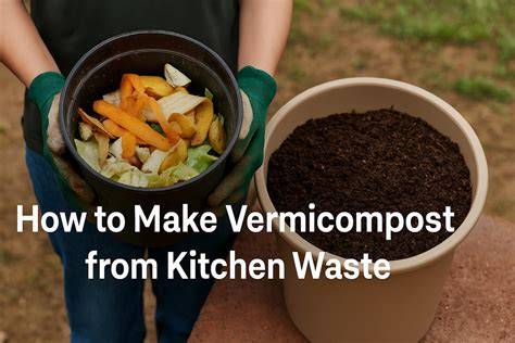 How to Make Vermicompost Successfully at Home With Steps - raincitystudios.com
