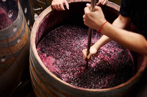How to Make Wine the Ancient Way - LEAFtv - wintechmobiles.com