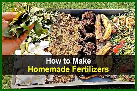 How to Make Your Own Fertilizer - The Spruce - raincitystudios.com