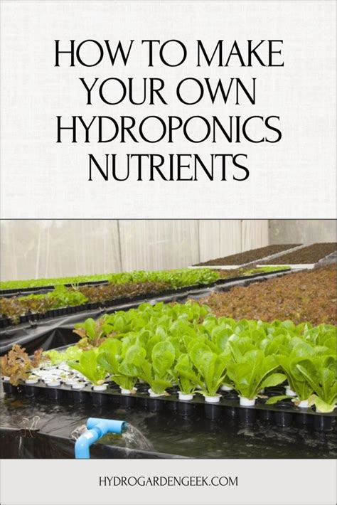 How to Make Your Own Hydroponics Nutrients - Hydro … - wintechmobiles.com
