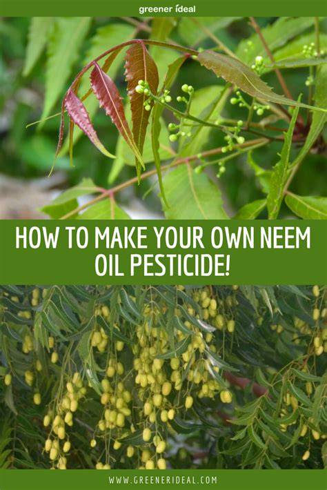 How to Make Your Own Neem Oil Pesticide - Greener … - raincitystudios.com