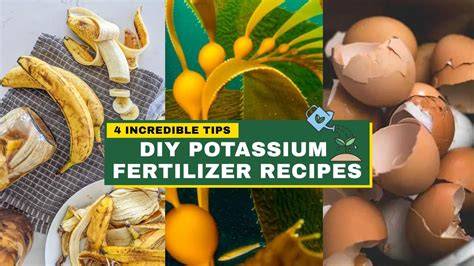How to Make Your Own Potassium Fertilizer at Home - raincitystudios.com