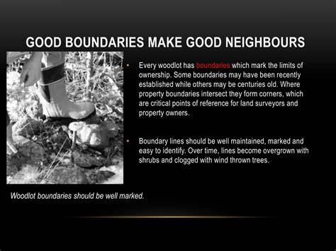 How to mark your woodlot boundaries - The Forestry Forum - raincitystudios.com