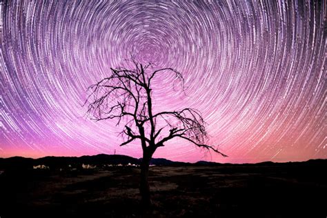 How to Master Star Trails Photography | ProGrade Digital - wintechmobiles.com