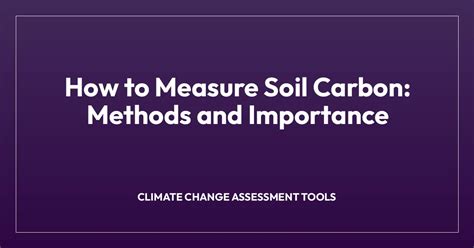 How to Measure Soil Carbon: Methods and Importance - raincitystudios.com