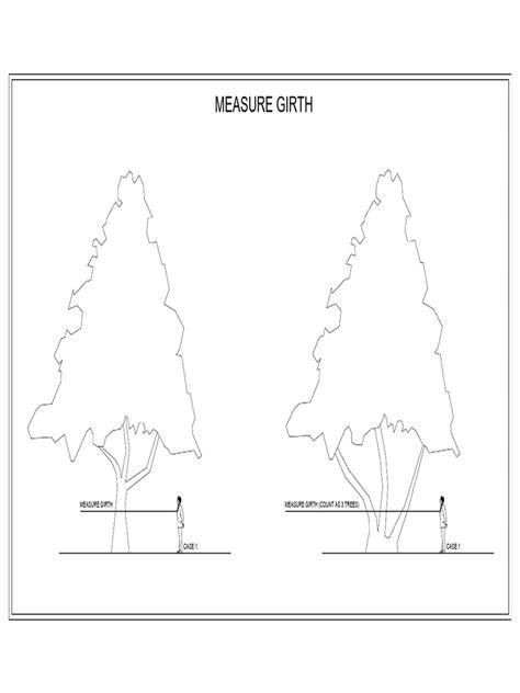 How to measure tree girth - Monumental trees - raincitystudios.com