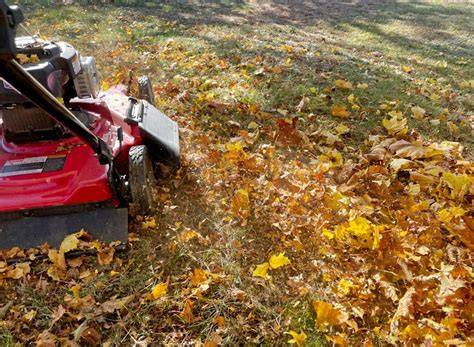 How to Mow, Compost, and Mulch Leaves | CSU Extension - raincitystudios.com