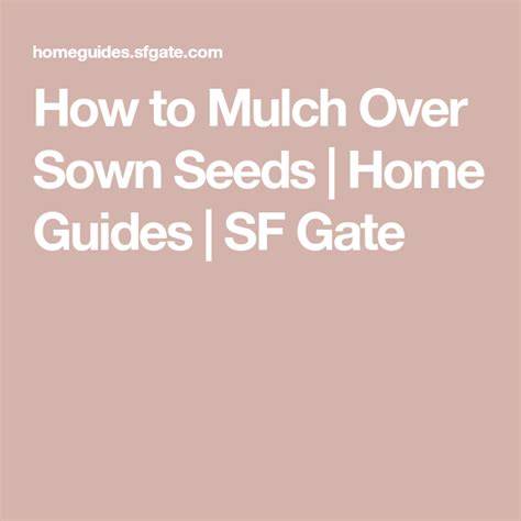 How to Mulch Over Sown Seeds - Weekand - raincitystudios.com