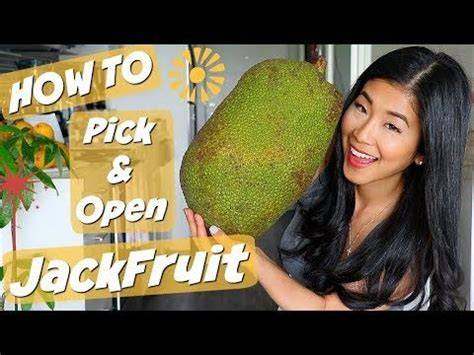 How to open a jackfruit easily - raincitystudios.com