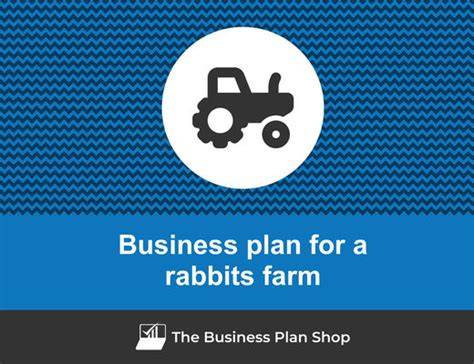 How to Open a Profitable Rabbit Farm [Business Plan] - raincitystudios.com