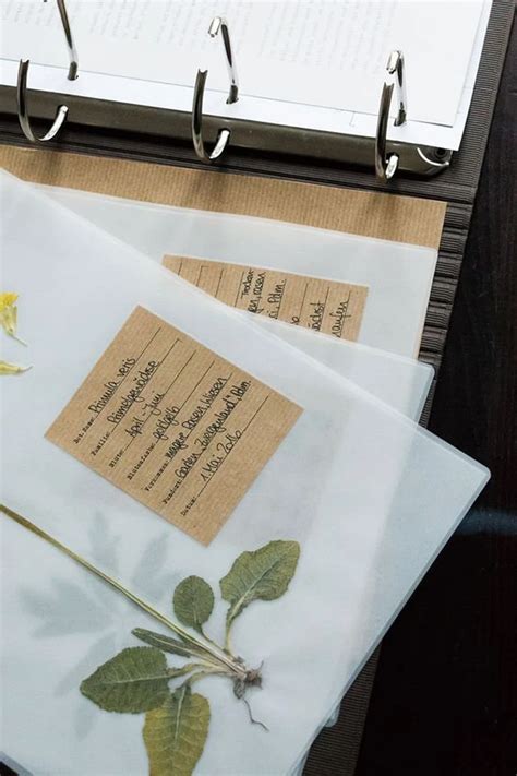 How to Organize Herbarium Specimens, Best Labeling & Preservation … - raincitystudios.com