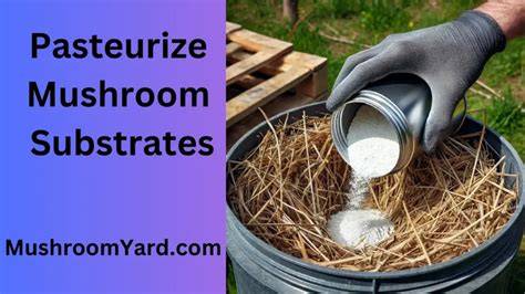 How to Pasteurize Mushroom Substrate. - EZMushroom - raincitystudios.com