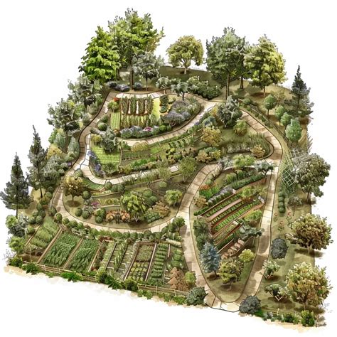 How to Plan and Design Your Own Food Forest - raincitystudios.com