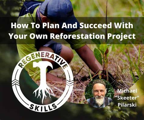 How to plan and succeed with your own reforestation … - raincitystudios.com