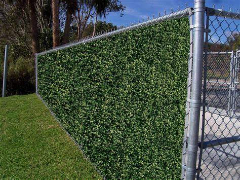 How to plant a live fence. What can be planted - Plant-growing - raincitystudios.com
