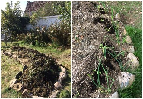 How To Plant Up A Hugelkultur Bed - Rural Sprout - raincitystudios.com