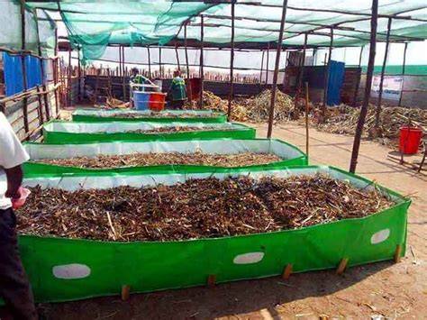 How to Prepare Vermicompost: 14 Steps (with Pictures) - wikiHow - raincitystudios.com