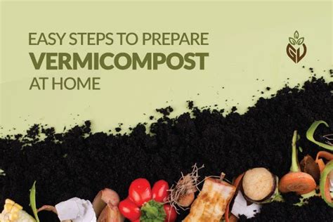 How to prepare vermicompost in 10 steps - raincitystudios.com