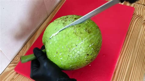 HOW TO PRESERVE BREADFRUIT IN THE KITCHEN …