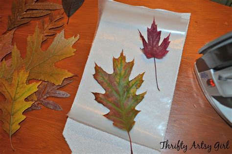 How To Preserving Fall Leaves For Crafts - muktibox.com