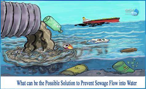 How to Prevent Pollution from Sewage at Sea - Marine … - raincitystudios.com