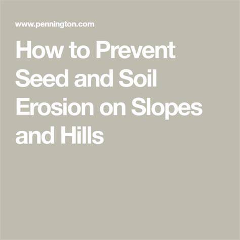 How to Prevent Seed and Soil Erosion on Slopes and Hills - raincitystudios.com