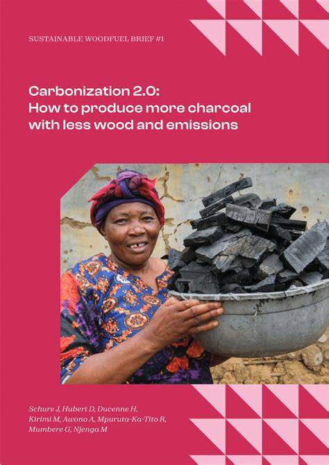 How to produce charcoal with less wood and emissions - raincitystudios.com
