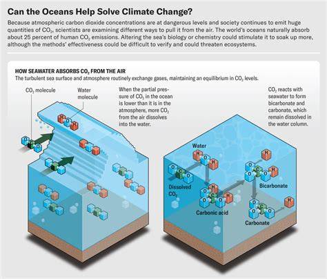 How to pull carbon dioxide out of seawater - MIT News - raincitystudios.com