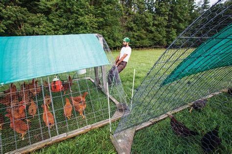 How to Raise Poultry on Pasture - Grit - raincitystudios.com