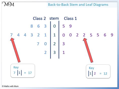 How to Read a Back-to-Back Stem-and-Leaf Plot - ScienceInsights - wintechmobiles.com