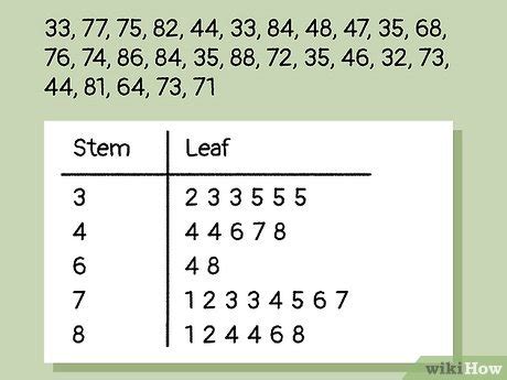 How to Read a Stem and Leaf Plot Step by Step - ScienceInsights - wintechmobiles.com