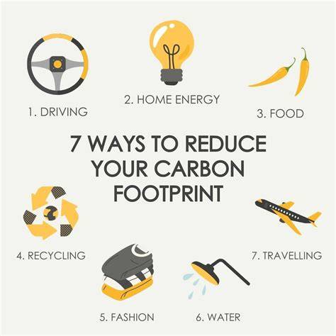 How to Reduce the Carbon Footprint of Your Travels - raincitystudios.com