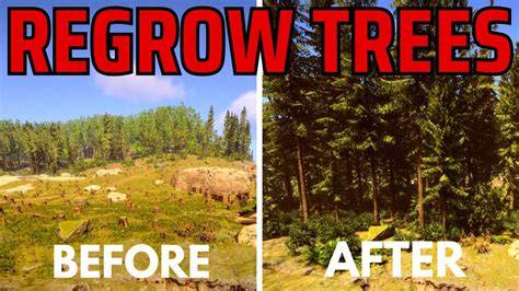 How to regrow a forest: Get out of the way | National … - raincitystudios.com
