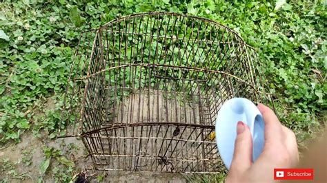 How to repaint old Rusty Cage | DIY bird Cage restoration | How to ... - muktibox.com