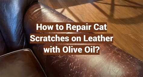 How To Repair Cat Scratches On Leather - muktibox.com