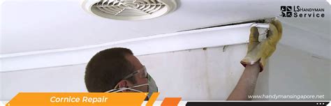 How To Repair Cornice Molding - lets - muktibox.com