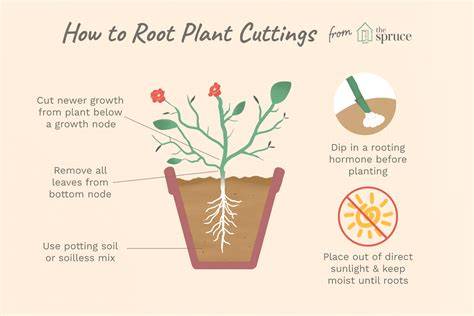 How to Root Woody Plant Cuttings - Birds and Blooms - raincitystudios.com