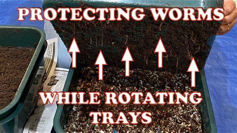 How To Rotate Worm Tower Trays Without Damaging Worms - raincitystudios.com