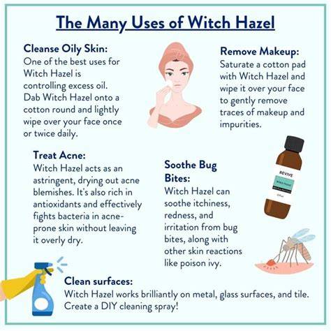 How to Safely Dispose of Witch Hazel - raincitystudios.com