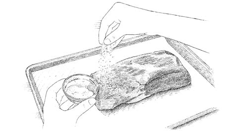 How to Salt a Roast (and Other Meats) - America's Test … - wintechmobiles.com