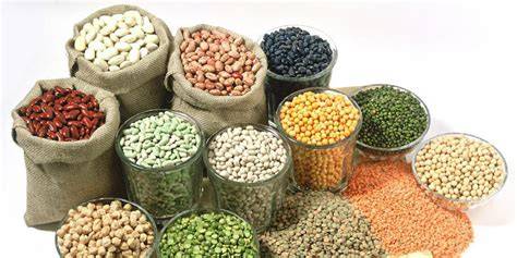 How to Save Seeds: Drying Seeds for Storage - Mother … - raincitystudios.com