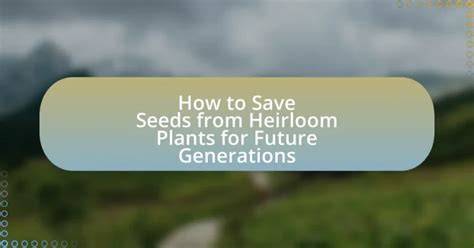 How to Save Seeds from Heirloom Plants for Future Generations - raincitystudios.com