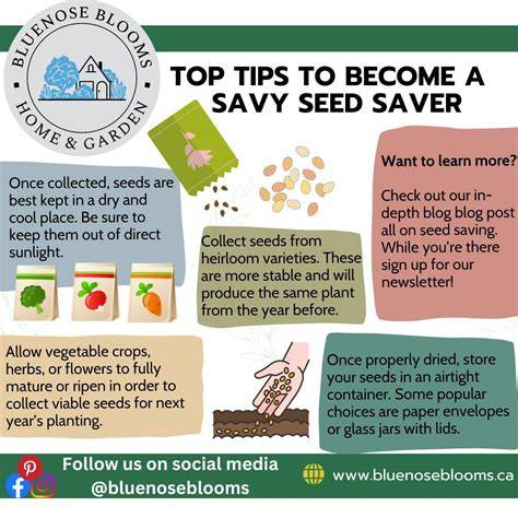 How to Save Seeds - Illinois Extension - raincitystudios.com