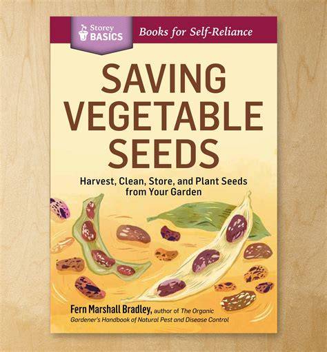 How to Save Vegetable Seeds - The Old Farmer's Almanac - raincitystudios.com