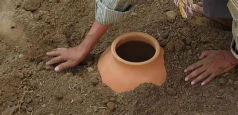 How to Save Water with the Clay Pot Irrigation Method - raincitystudios.com