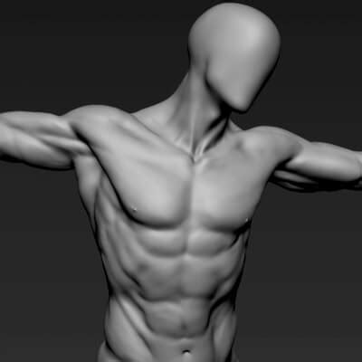 How to sculpt the male body - Udemy - muktibox.com