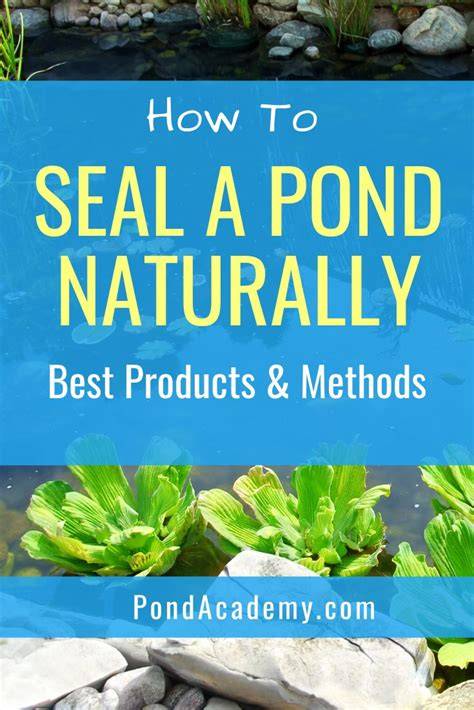 How to Seal a Pond | Concrete Pond Sealer Products - raincitystudios.com