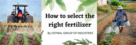 How to Select the Right Fertilizer for Hydroponics - wintechmobiles.com