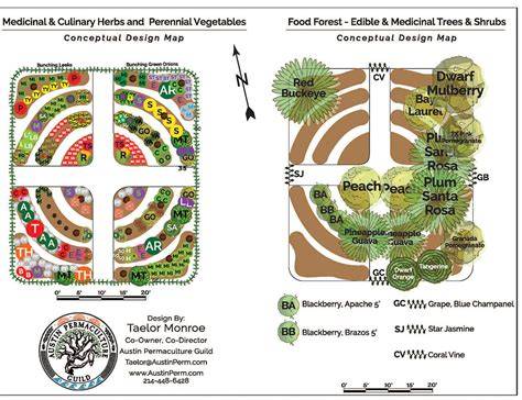 How To Set up a permaculture food forest - raincitystudios.com